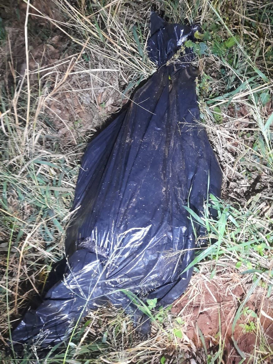 INVESTIGAÇÃO: Corpo é encontrado em área de mata em Zanja Pytã e pode ser de homem desaparecido