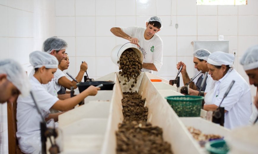 Acordo: Consulta sobre bens sustentáveis no acordo Mercosul–UE acaba na quarta