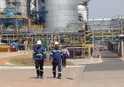 MS e a Celulose: nova locomotiva industrial e salto de empregos formais em Inocência