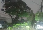 Capital: Tempestade com ventos de 64 km/h causa estragos em Campo Grande