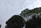 Mato Grosso do Sul: Quarta-feira é de chuvas, avanço de frente fria e nebulosidade em regiões