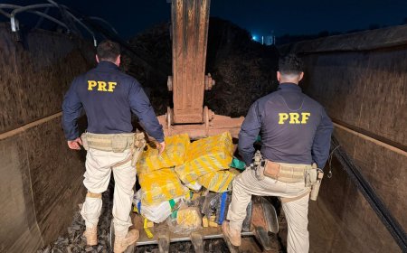 Tráfico: Carreta com mais de 3,4 toneladas de maconha que saiu de Ponta Porã é apreendida na BR-060