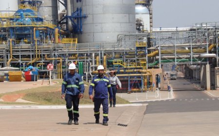 MS e a Celulose: nova locomotiva industrial e salto de empregos formais em Inocência