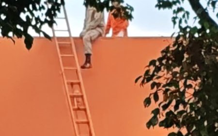 Achado inusitado: Crânio é encontrado no telhado de prédio em Ponta Porã