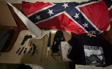 12 integrantes do grupo virtual: Polícia identifica novas vítimas e revela estrutura do grupo investigado na operação Livia