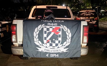 Força Tática de Ponta Porã recupera caminhonete roubada minutos após o crime