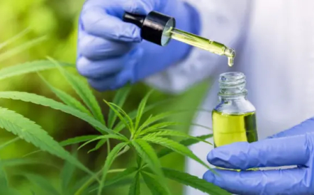 Evento: Para associações, normas ainda deixam pontos em aberto sobre cannabis