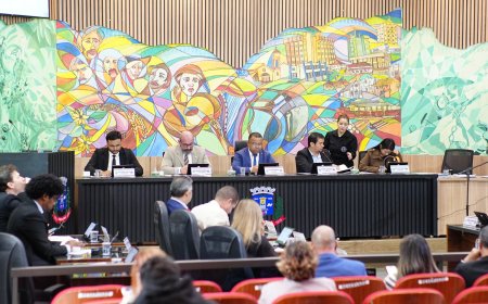 Câmara Municipal de Ponta Porã irá realizar 29ª sessão  ordinária com foco em projetos e prestação de contas
