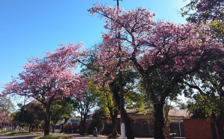 Estação: Primavera terá risco de temporais, ventos acima de 70 km/h e enchentes em MS