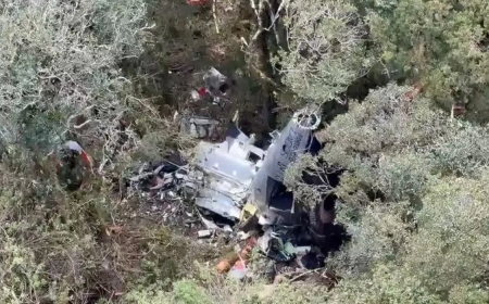 Luto: Bombeiros encontram helicóptero com corpo do cantor Rick