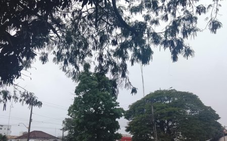 Variação: Tempo é de aberturas de Sol e nebulosidade, mas chuvas ainda ocorre nas regiões de MS