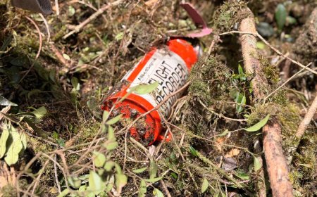 Aeronave caiu em SC: Cenipa recupera caixa-preta de helicóptero que levava cantor Rick