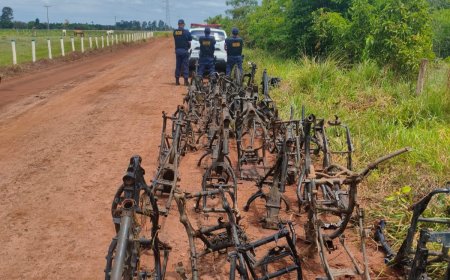 Anhanduí: GCM encontra área com mais de 70 quadros de motocicletas