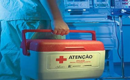 Mês setembro Verde: idosos também podem ser doadores vivos de órgãos