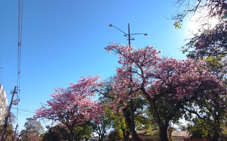 Segunda-feira: Calor de até 42°C toma conta de Mato Grosso do Sul