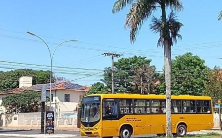 Itinerários e horários: Nunes Marques cobra TREs por transporte público gratuito nas eleições