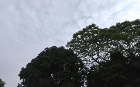 Mato Grosso do Sul: Quarta-feira é de chuvas, avanço de frente fria e nebulosidade em regiões