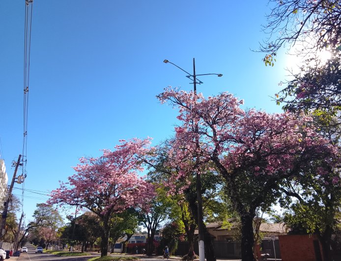 Segunda-feira: Calor de até 42°C toma conta de Mato Grosso do Sul