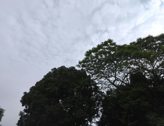 Mato Grosso do Sul: Quarta-feira é de chuvas, avanço de frente fria e nebulosidade em regiões