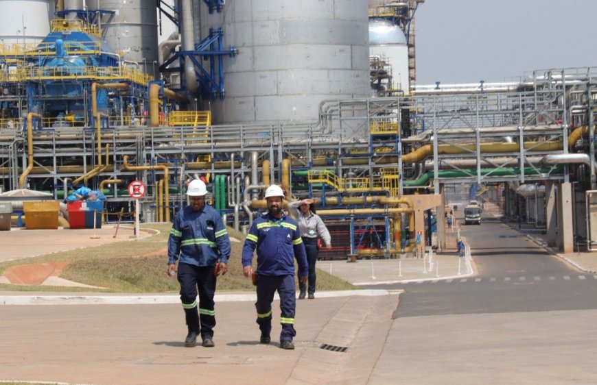 MS e a Celulose: nova locomotiva industrial e salto de empregos formais em Inocência