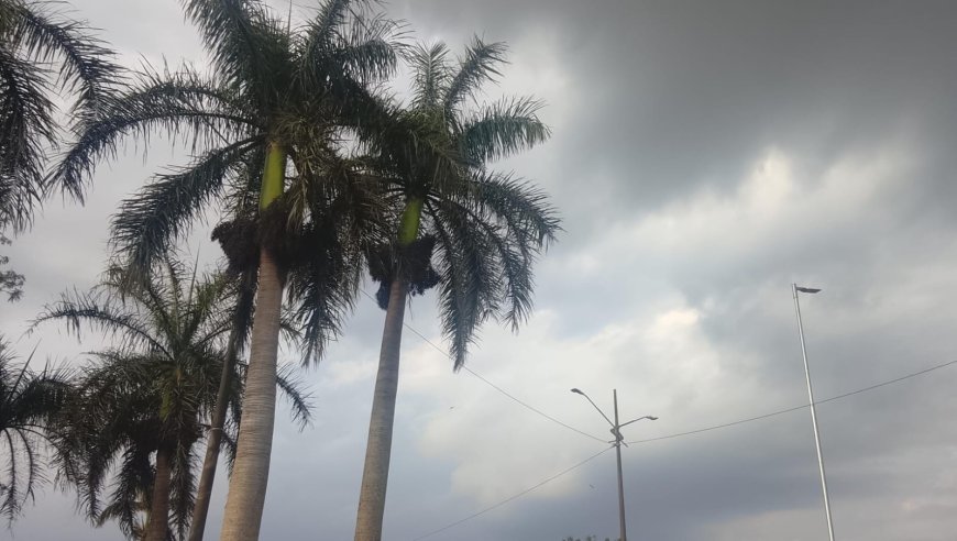 Mudança: Frente fria traz temporais, ventos de até 80 km/h e derruba temperaturas em MS