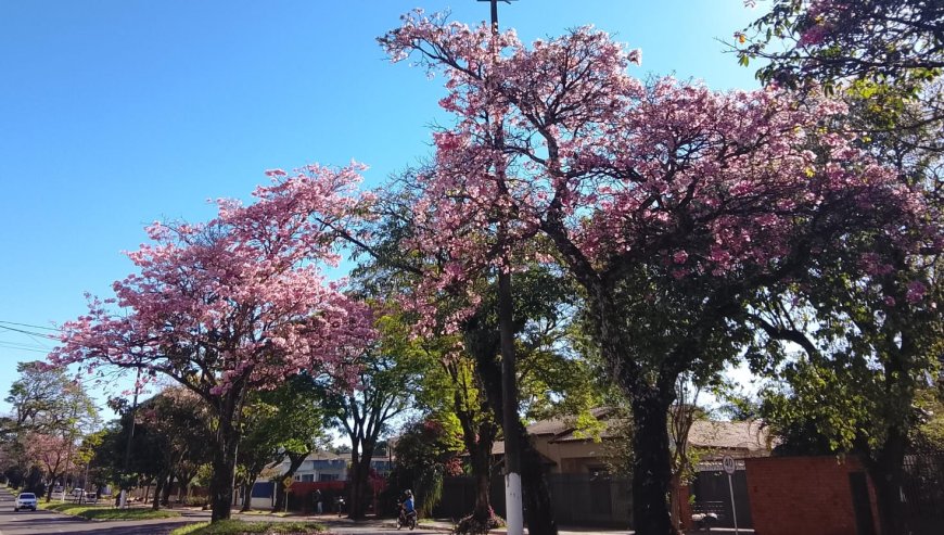 Estação: Primavera terá risco de temporais, ventos acima de 70 km/h e enchentes em MS