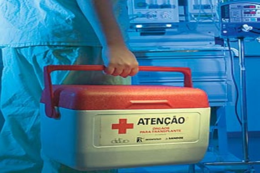 Mês setembro Verde: idosos também podem ser doadores vivos de órgãos