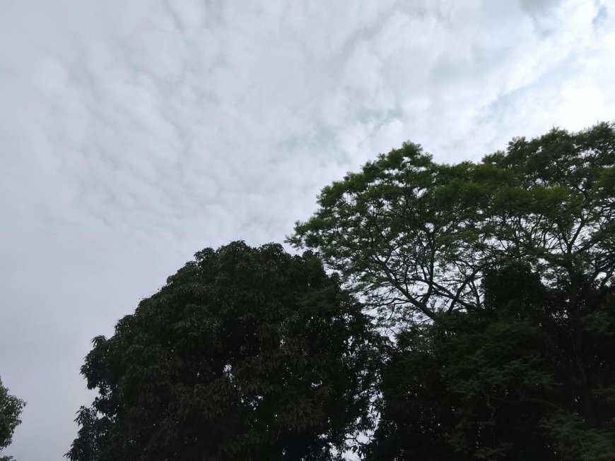 Mato Grosso do Sul: Quarta-feira é de chuvas, avanço de frente fria e nebulosidade em regiões