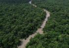Dados do Inpe: Desmatamento cai 41,8% na Amazônia e 23,8% no Cerrado em um ano
