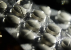 Suspeita de produtos falsificados: Anvisa proíbe lotes de medicamento para tratar câncer