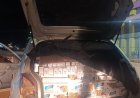 Polícia Militar apreende 700 pacotes de cigarros contrabandeados no Distrito de Nova Itamarati