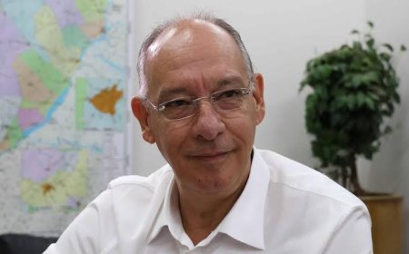 Hegemonia territorial e capilaridade: A anatomia Política da eleição de Hélio Peluffo à Assembleia Legislativa de MS