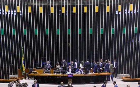Dados: Representação de parlamentares negros segue baixa, diz pesquisadora