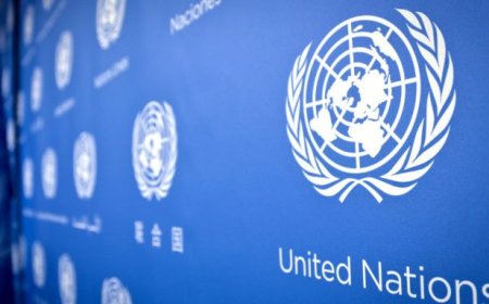 Projeto destina recursos orçamentários para contribuições do Brasil a órgãos internacionais