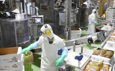 Diz ABPA: Fim da escala 6x1 vai reduzir a disponibilidade de produtos no setor de aves e suínos