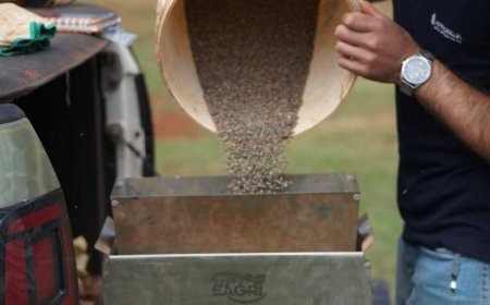 Estado importou 116 mil toneladas no período: MS reduz importação de fertilizantes em 22% entre janeiro e setembro