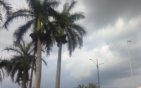 Temperaturas podem chegar a 40°C no Estado: Quinta-feira (22) terá risco de tempestades em Mato Grosso do Sul