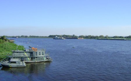 Rio em Ladário chegou a 1,27 metro: Chuvas podem favorecer recuperação do rio Paraguai e trazem perspectiva para o Pantanal