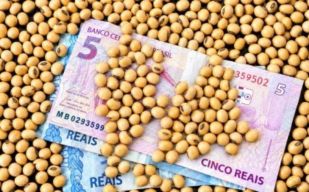 STF considerou inconstitucional a cobrança: Produtores rurais podem contestar dívidas do Funrural anteriores a 2018