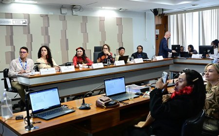 Lideranças ianomâmis cobram proteção e continuidade de ações ambientais