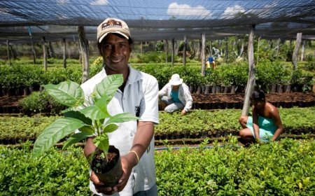 Dados: MS soma R$ 4,2 milhões em contratos com MEIs e agricultores familiares