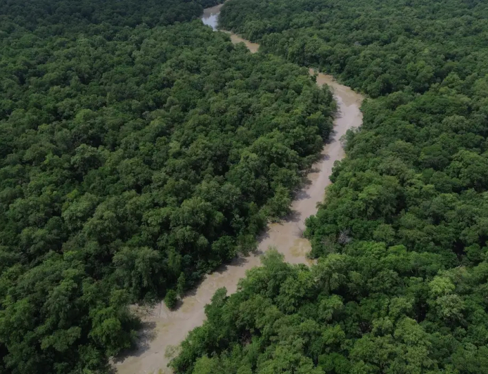 Dados do Inpe: Desmatamento cai 41,8% na Amazônia e 23,8% no Cerrado em um ano