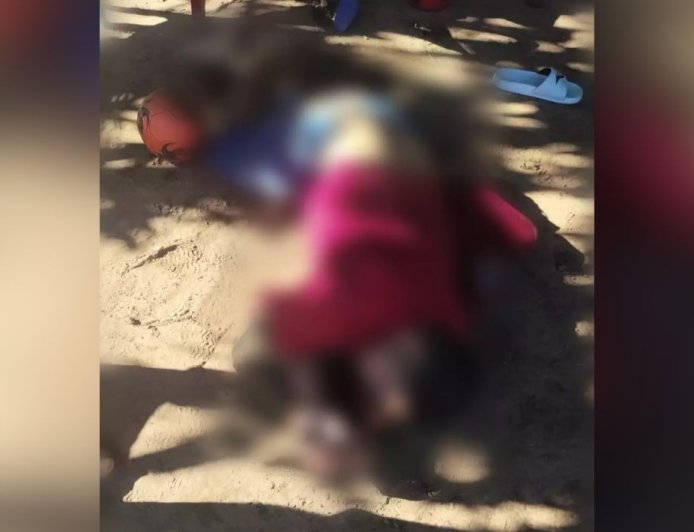 Jardim: Homem é executado a tiros no quintal de residência