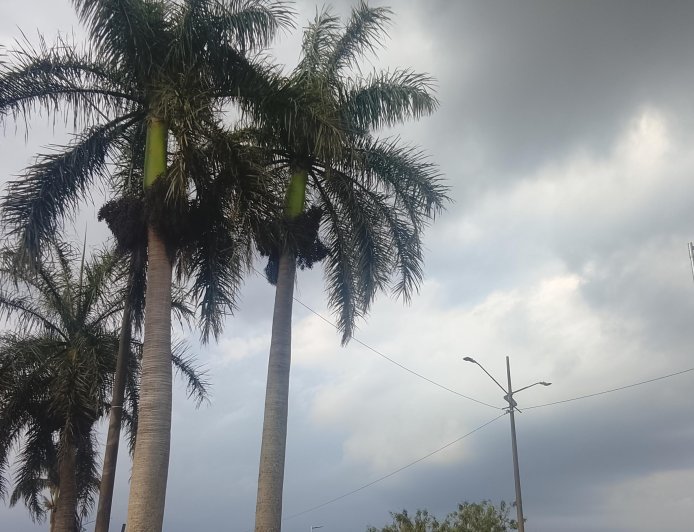 Temperaturas podem chegar a 40°C no Estado: Quinta-feira (22) terá risco de tempestades em Mato Grosso do Sul