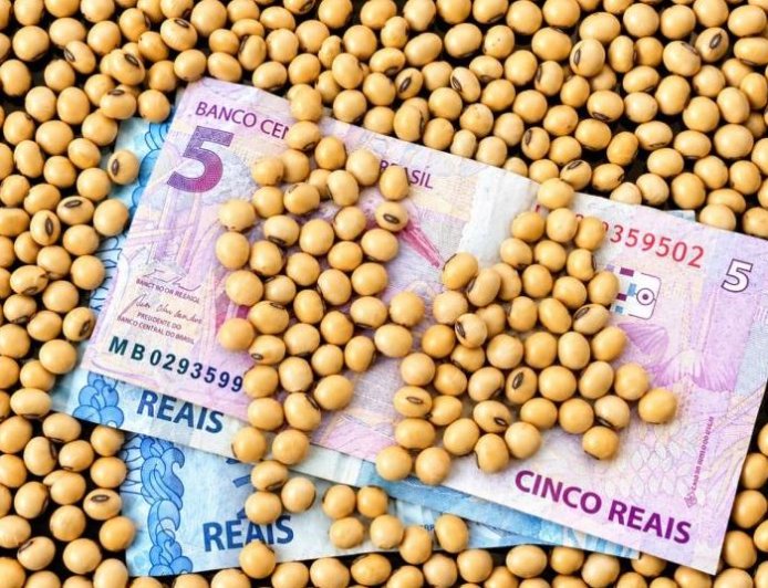 STF considerou inconstitucional a cobrança: Produtores rurais podem contestar dívidas do Funrural anteriores a 2018