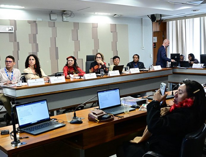 Lideranças ianomâmis cobram proteção e continuidade de ações ambientais
