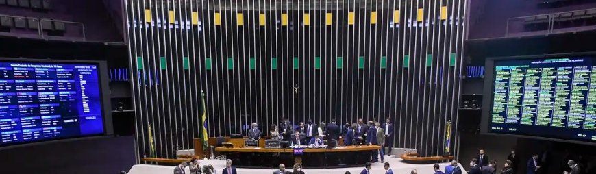 Dados: Representação de parlamentares negros segue baixa, diz pesquisadora
