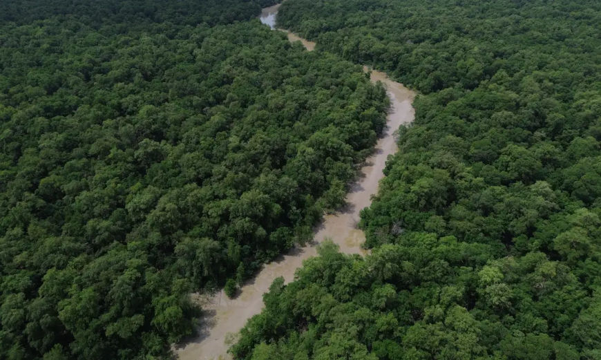 Dados do Inpe: Desmatamento cai 41,8% na Amazônia e 23,8% no Cerrado em um ano