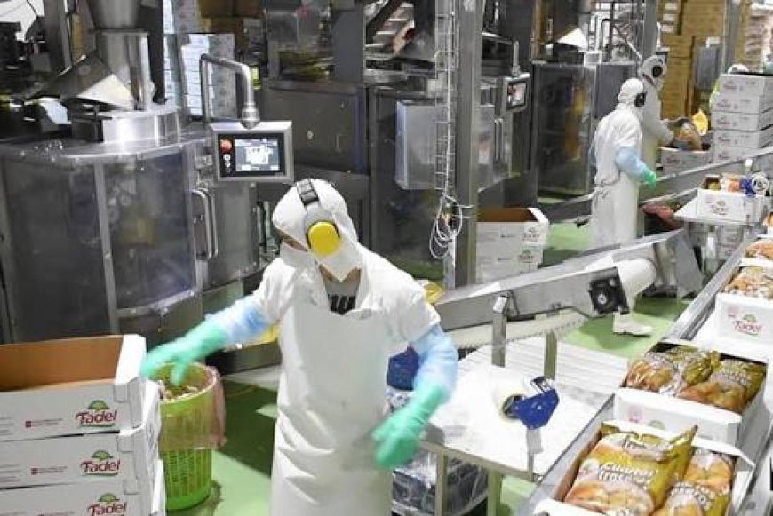 Diz ABPA: Fim da escala 6x1 vai reduzir a disponibilidade de produtos no setor de aves e suínos
