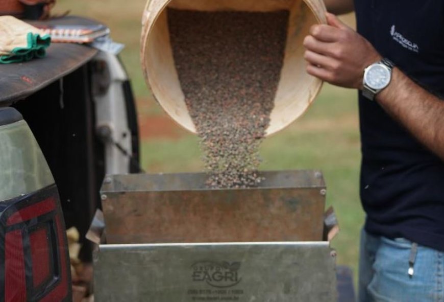 Estado importou 116 mil toneladas no período: MS reduz importação de fertilizantes em 22% entre janeiro e setembro